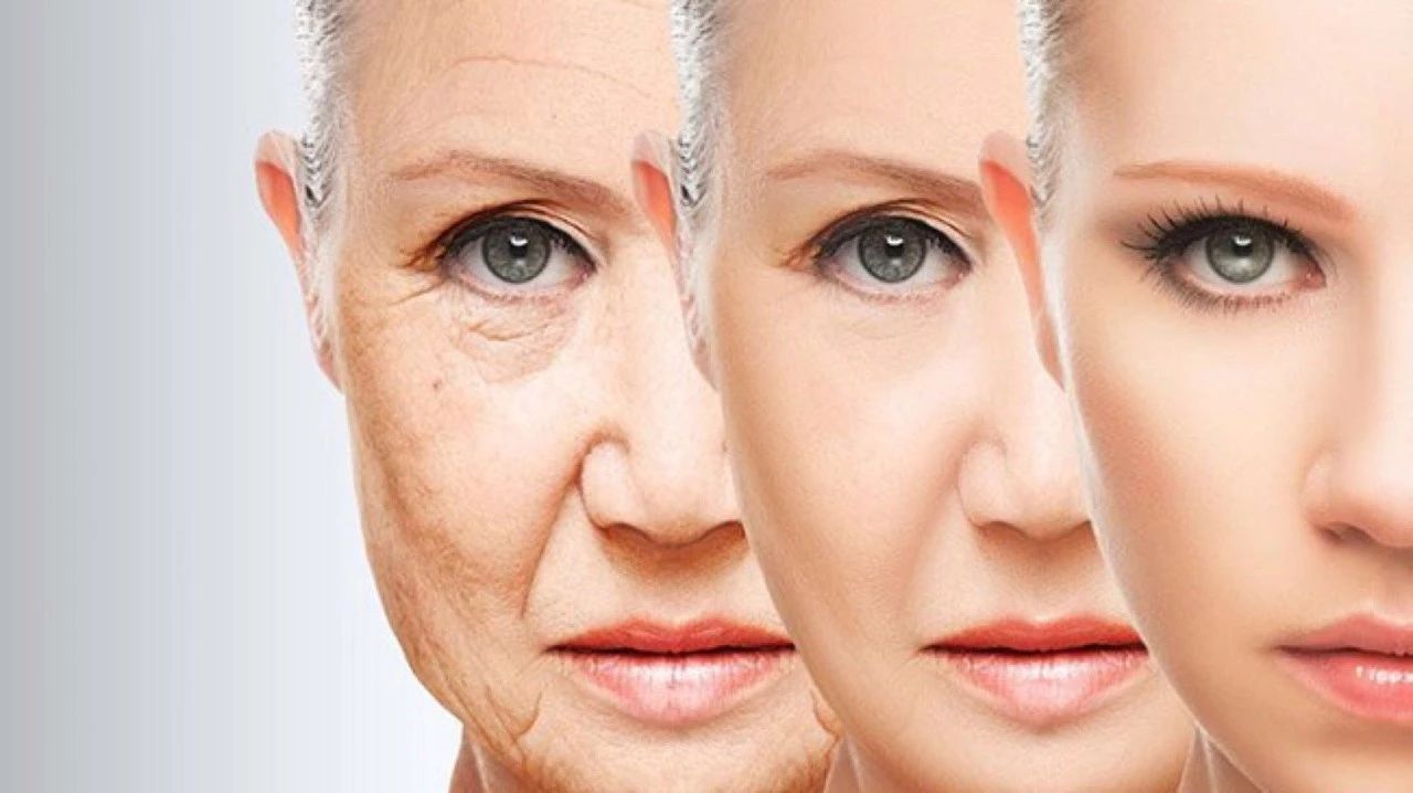 新发现｜外泌体促进产生胶原蛋白和消除皮肤老化迹象